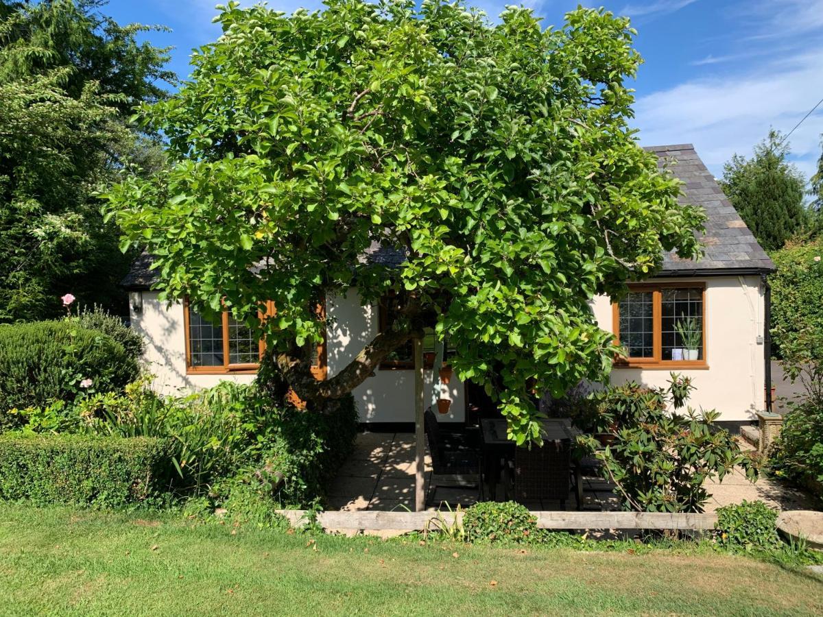 Newton Farmhouse Whiteparish Екстериор снимка